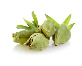 Cardamom