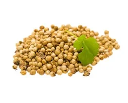 Coriander