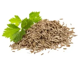 Cumin Seeds