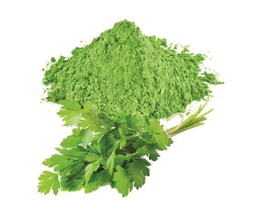 Dehydrated Coriander Leaves Powder