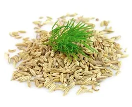 Fennel Seed