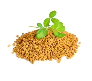 Fenugreek Seed