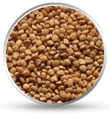 Guar Seed